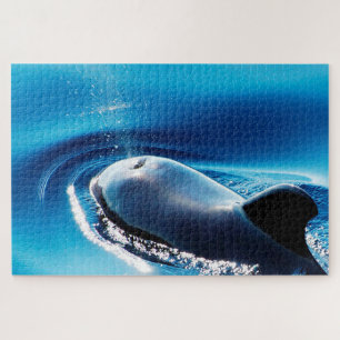 Puzzle Ballenas piloto de Jigsaws