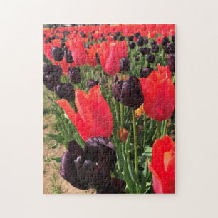 Puzzle Ballerina y Reina de los Tulipanes Nocturnos