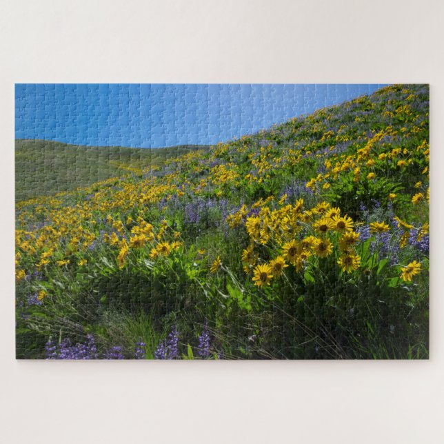 Puzzle Balsamroot y Lupine en Sage Hills Wenatchee, WA (Horizontal)