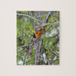 Puzzle Baltimore Oriole