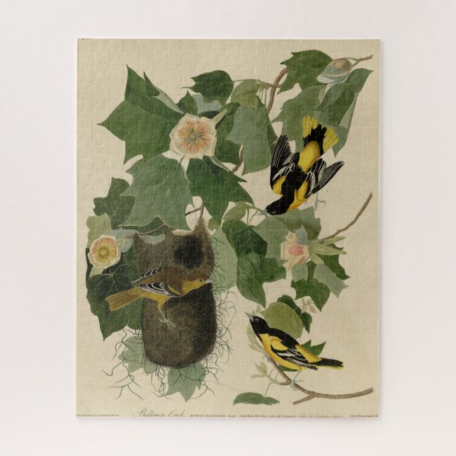 Puzzle Baltimore Oriole - de Aves de América de Audubon (Vertical)