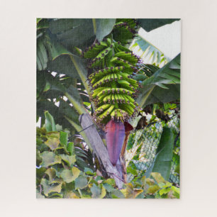 Puzzle Banana tree in Madeira