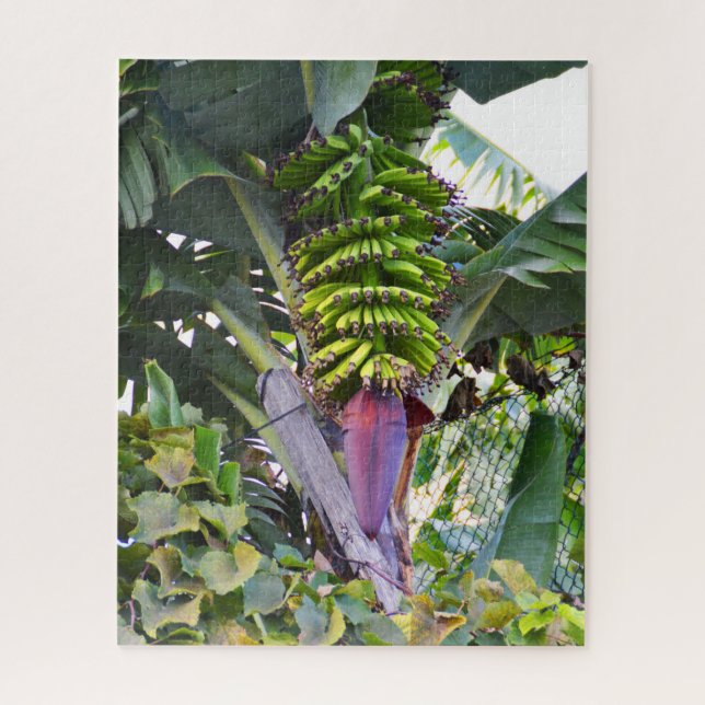 Puzzle Banana tree in Madeira (Vertical)