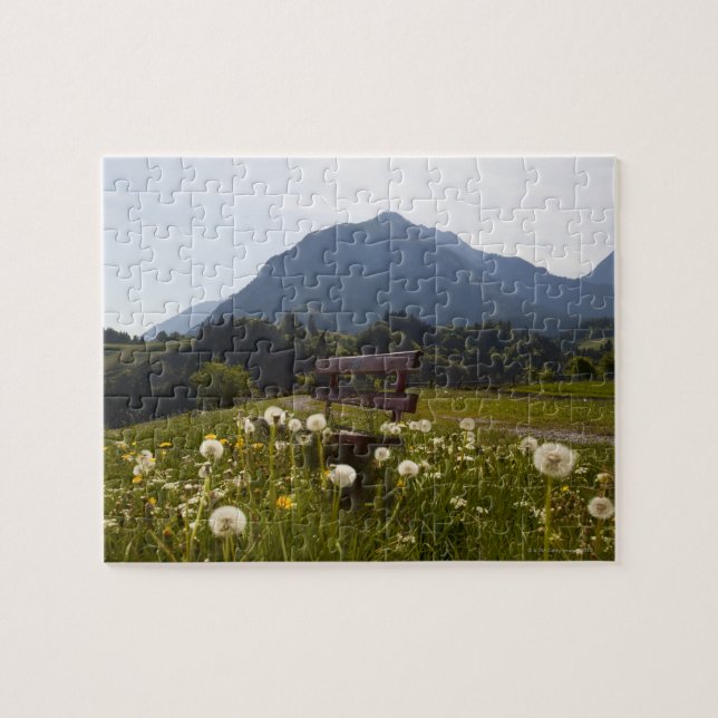 Puzzle Banco de parque en campo rural (Horizontal)