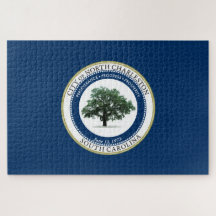 Bandera de North Charleston (Carolina del Sur)