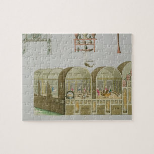 Puzzle Baños romanos, placa 'de la historia de la nació