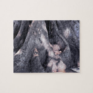 Puzzle Banyan Tree