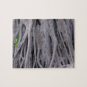 Puzzle Banyan Tree Trunk