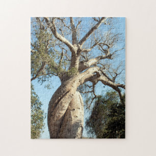Puzzle Baobab torcido, Madagascar