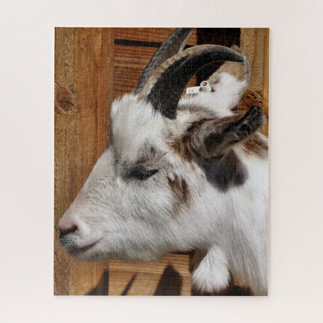 PUZZLE BARBA (Vertical)