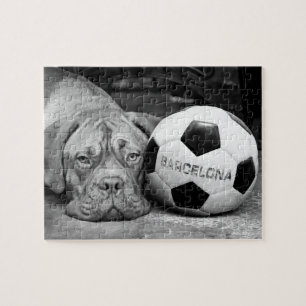 Puzzle Barcelona's soccer fanatic dog. Barcelona, Spain