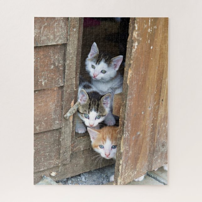 Puzzle Barn Kittens (Vertical)
