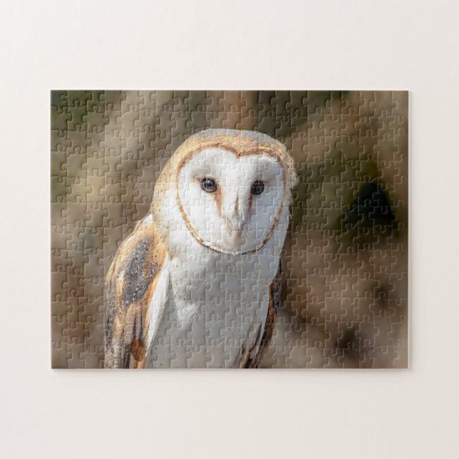 Puzzle Barn Owl (Horizontal)
