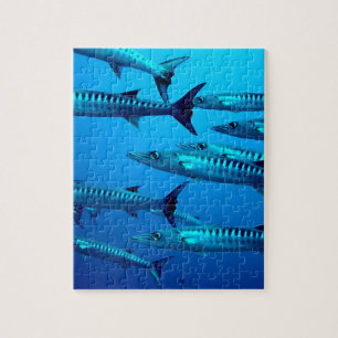 Puzzle barracuda buceo profundo mar agua tropical ola