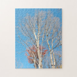 Puzzle Barren Trees