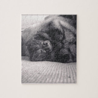 Puzzle Barro amasado el dormir