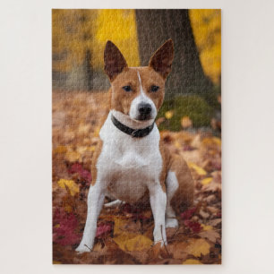 Puzzle Basenji en otoño se inspira la caída de las hojas