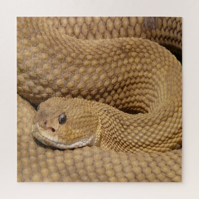 Puzzle Basilisk Pit Viper Rattlesnake (Vertical)