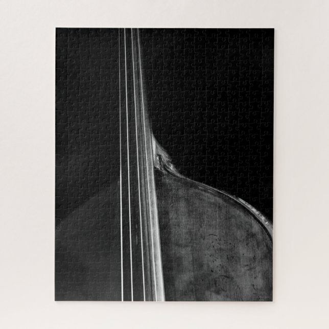 Puzzle Bass 5 16x20 520pc jpcnm (Vertical)