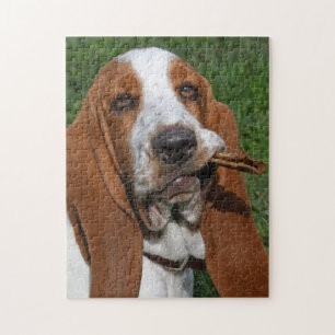 Puzzle Basset Hound Morning Chew