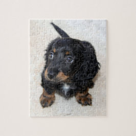 Puzzle Bastante negro Dachshund Cachorro Perro Jigsaw Rom