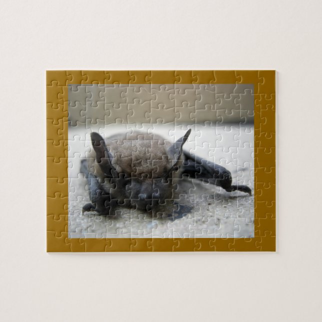 Puzzle Bate marrón pequeño (Myotis lucifugus) (Horizontal)