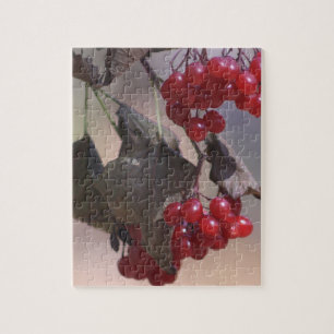 Puzzle Bayas Rojas