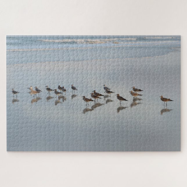 Puzzle Beach Birds Coastal Nature Photography Hard (Horizontal)