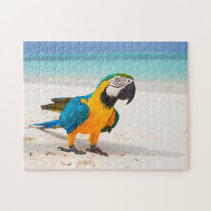 Puzzle Beach Parrot