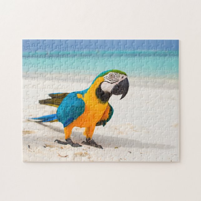 Puzzle Beach Parrot (Horizontal)