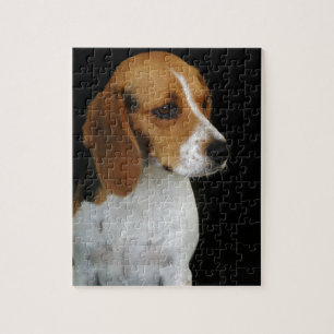 Puzzle Beagle clásico