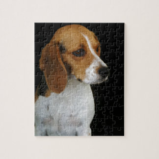 Puzzle Beagle clásico