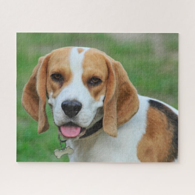 Puzzle Beagle Hound Dog (Horizontal)