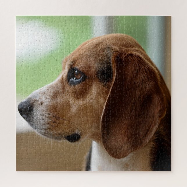 Puzzle Beagle Soñador (Vertical)