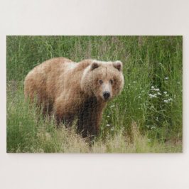 Puzzle Bear closet, Brooks Falls Alaska