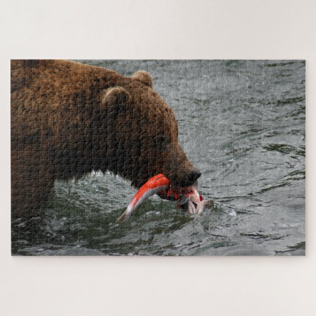 Puzzle Bear closet, Brooks Falls Alaska (Horizontal)