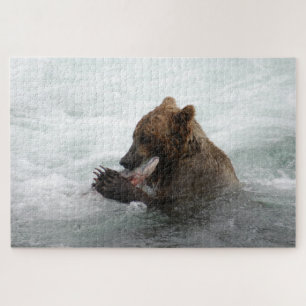 Puzzle Bear closet, Brooks Falls Alaska