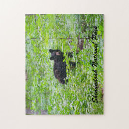 Puzzle Bear - Shenandoah National Park