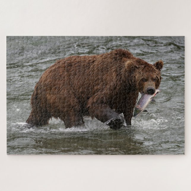 Puzzle Bear with Salmon in Katmai National Park Alaska (Horizontal)