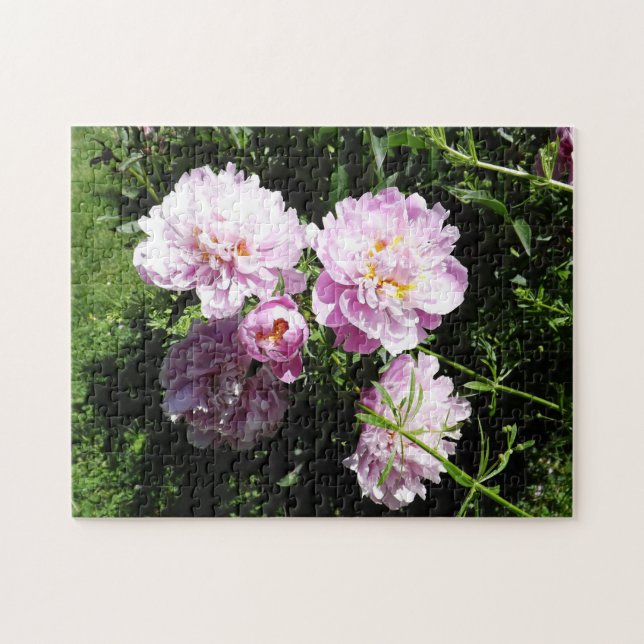 Puzzle Beautiful Pink Peonies Floral (Horizontal)