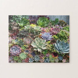 Puzzle Beautiful Succulents