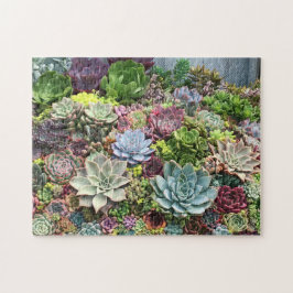 Puzzle Beautiful Succulents