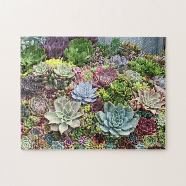 Puzzle Beautiful Succulents (Horizontal)