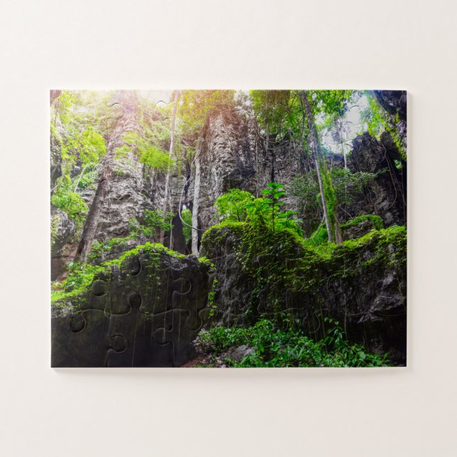 Puzzle Beautiful Vine Forest (Horizontal)