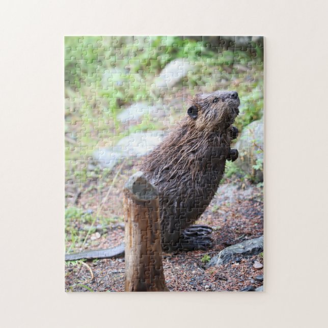 Puzzle Beaver (Vertical)