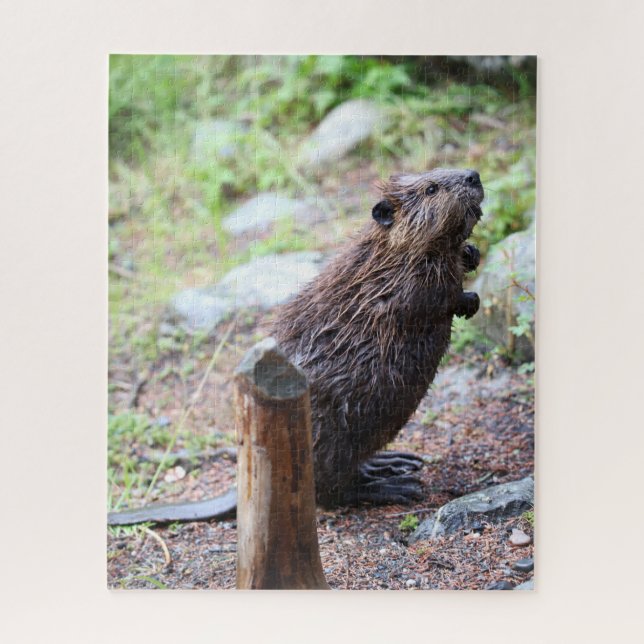 Puzzle Beaver (Vertical)