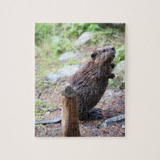 Puzzle Beaver