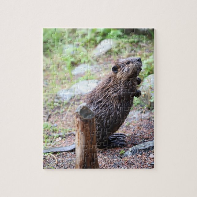 Puzzle Beaver (Vertical)