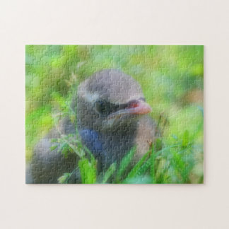Puzzle Bebé Cedar Waxwing Fledglglgling Bird Naturaleza
