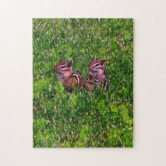 Puzzle Bebé Chipmunks Primer Día #1 Arte Animal
